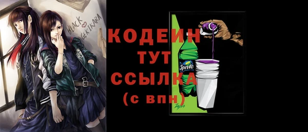 соль ск Нея