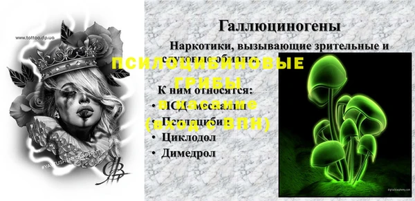 соль ск Нея