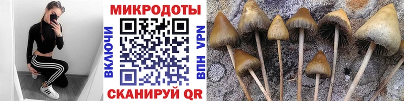 Галлюциногенные грибы GOLDEN TEACHER Сергач